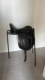 Ikonic, Ophalen, Zo goed als nieuw, Dressuur