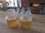Kombucha zwammen + 8 flessen, Diversen, Levensmiddelen, Ophalen