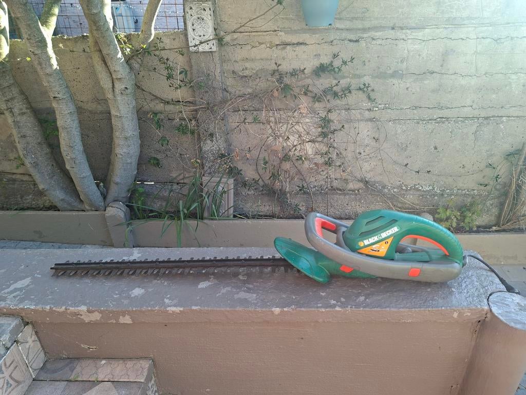 Haagschaar Black decker, Ophalen