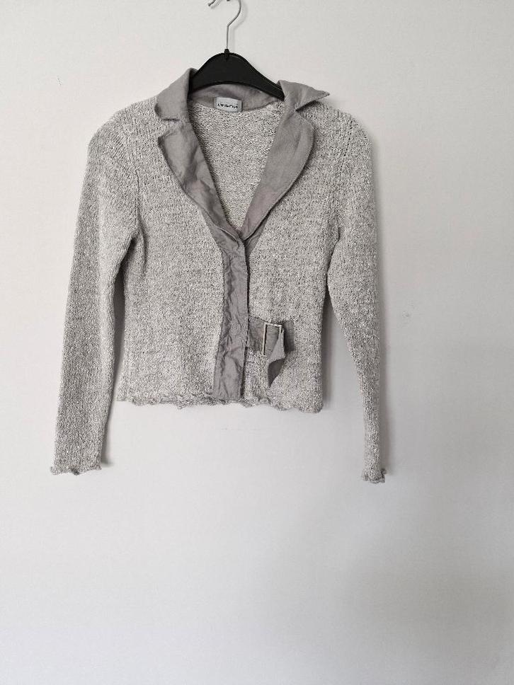 grijs vestje Taifun maat 36, Vêtements | Femmes, Pulls & Gilets, Taille 36 (S), Gris, Enlèvement ou Envoi