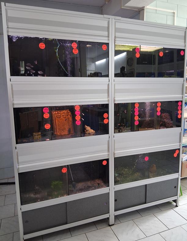Aquarium stelling met 6 aquariums en schotten, 16 ruimtes!!!, Animaux & Accessoires, Poissons | Aquariums & Accessoires, Utilisé