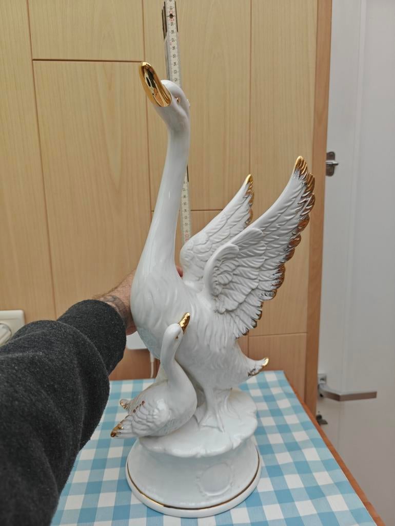 Mooie zwaan met jong, Ophalen