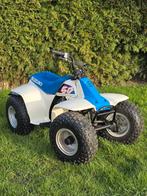 Bonjour, je vends quad Suzuki LT50, Jusqu'à 11 kW, 1 cylindre, 50 cm³