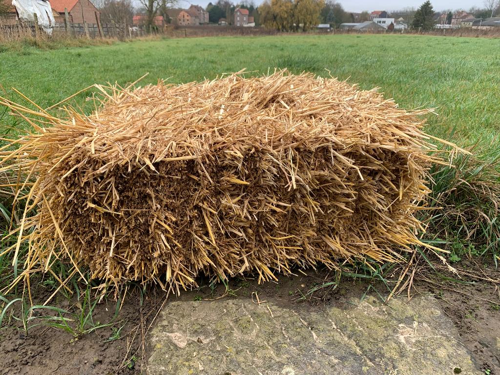 Kleine botten stro, Dieren en Toebehoren, Ophalen