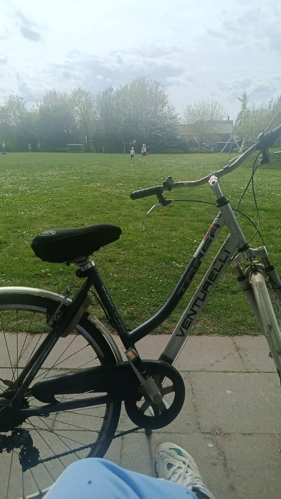 Te koop, Enlèvement