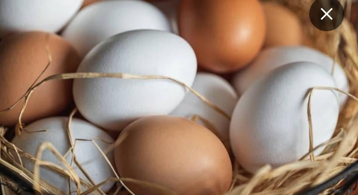 12 pour 5€ 24 pour 10€ Bio, Divers, Enlèvement