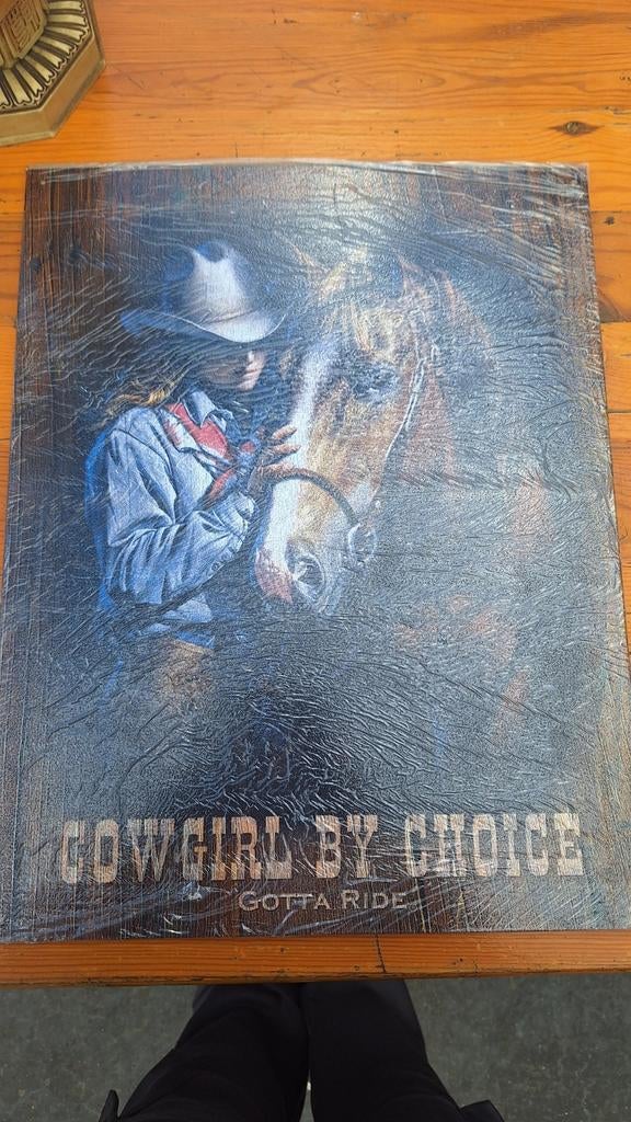 Cowgirl by choice painting, Ophalen