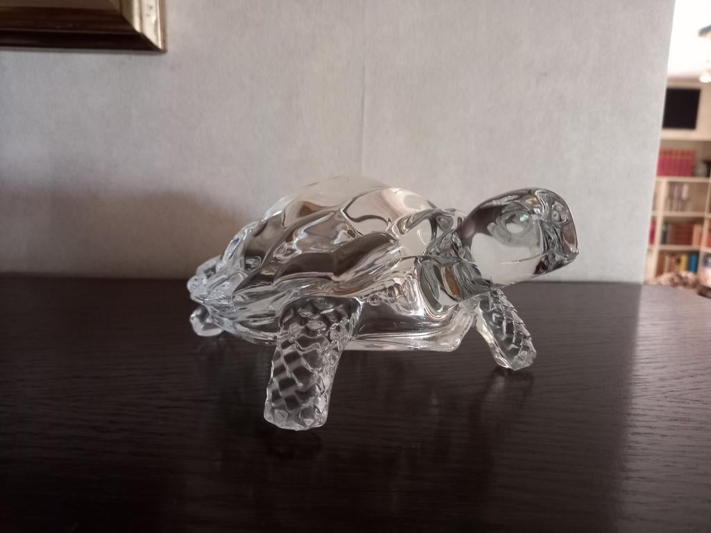 Schildpad, Verzamelen, Ophalen