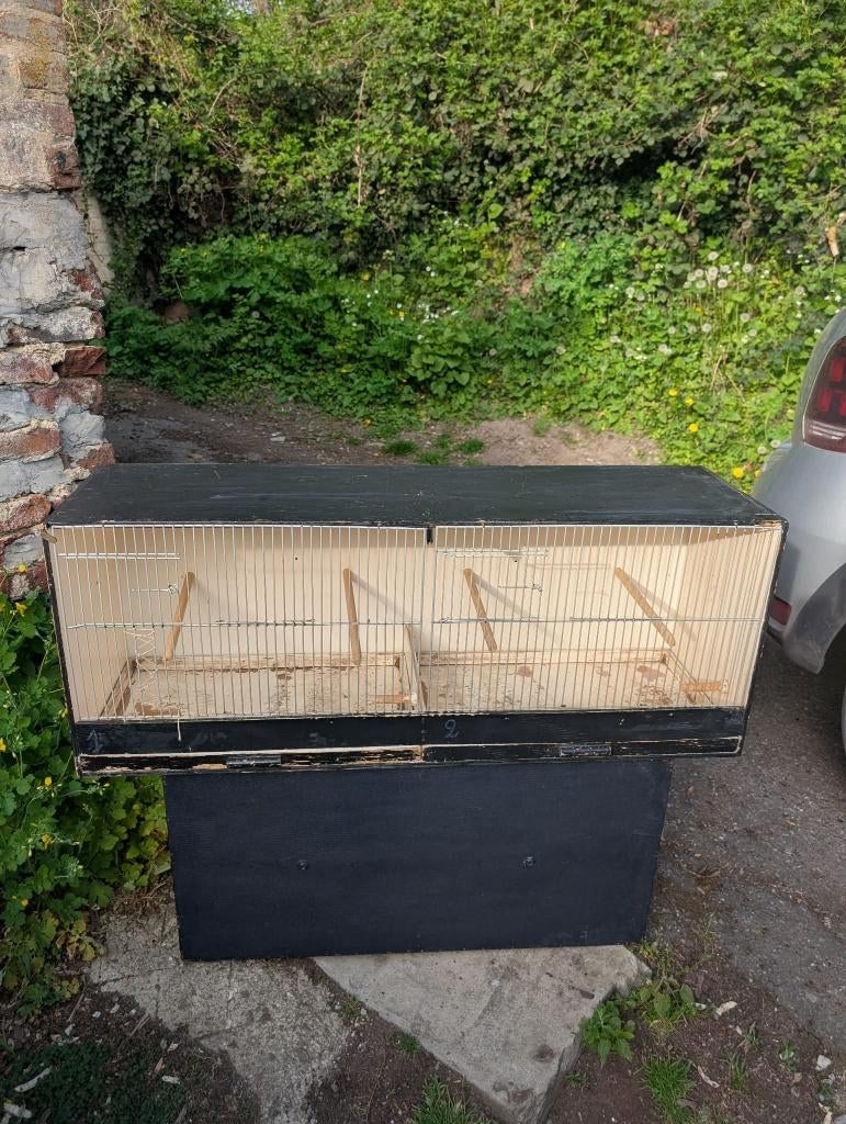 Cage oiseaux, Enlèvement, Utilisé, Bois, Cage d'élevage