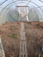 Serre, Ophalen, Gebruikt, Serre