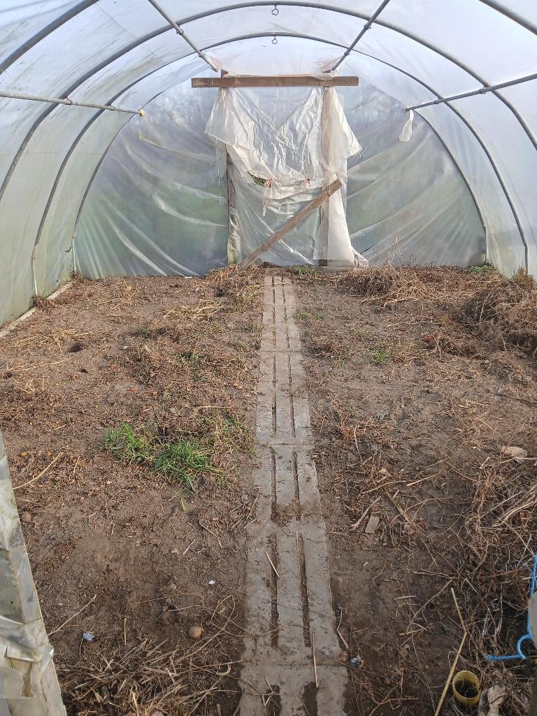 Serre, Tuin en Terras, Overkappingen, Gebruikt, Serre, Ophalen