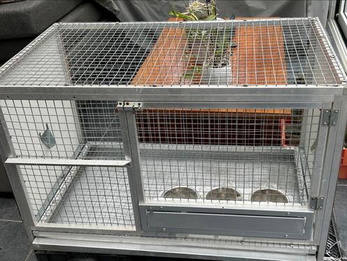 Kweekkooi voor papegaaien in zeer goede staat, Animaux & Accessoires, Oiseaux | Cages & Volières, Comme neuf, Enlèvement