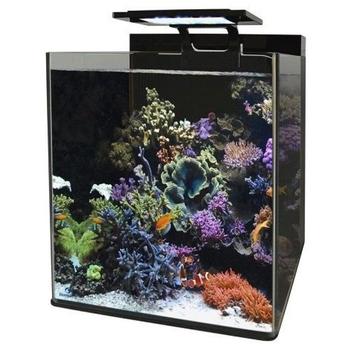 BlueMarine 60 Zeewater Aquarium + Alle acc. en test kits. beschikbaar voor biedingen