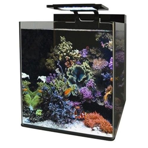 BlueMarine 60 Zeewater Aquarium + Alle acc. en test kits., Dieren en Toebehoren, Vissen | Aquaria en Toebehoren, Zo goed als nieuw