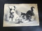Alfred Renaudin Drawing fox terrier and Kitten, Verzenden