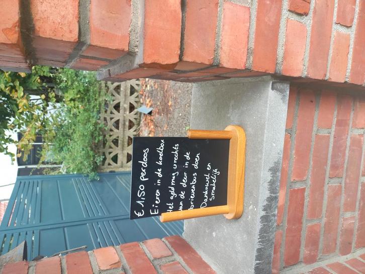 Verse eieren, Dieren en Toebehoren, Pluimvee | Toebehoren, Nieuw, Overige typen, Ophalen
