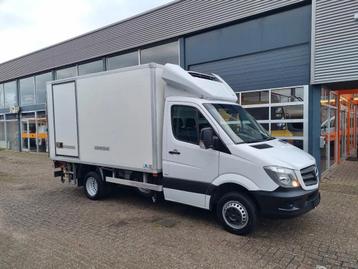 Mercedes-Benz Sprinter 516 CDI E6 Kuhlkoffer -20+20 230V/ LB beschikbaar voor biedingen