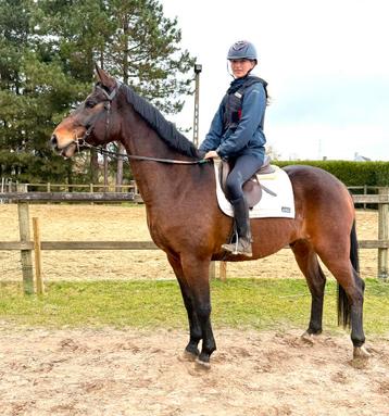 13j ruin 170cm beschikbaar voor biedingen