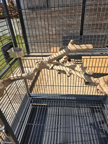 Cage  beschikbaar voor biedingen