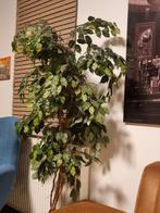 Grote kunstplant, Ophalen, Zo goed als nieuw, Binnen