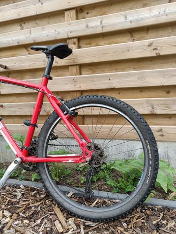 MTB Bulls beschikbaar voor biedingen