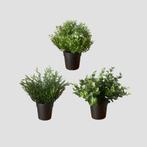 IKEA set van 3 artificiele planten, Ophalen