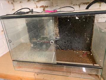 Terrerium beschikbaar voor biedingen