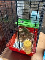 Hamster met kooi, Ophalen, Zo goed als nieuw, Kooi, Hamster
