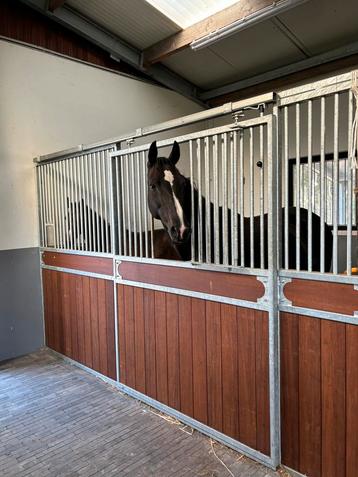 Stalhulp gezocht (Ranst) disponible aux enchères