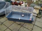 grote kooi voor knaagdieren  nog als nieuw, Dieren en Toebehoren, Ophalen, Zo goed als nieuw, Kooi, Rat
