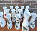 Set van 14 vintage arcopal vaasjes, Ophalen