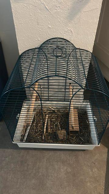 Cage oiseau beschikbaar voor biedingen