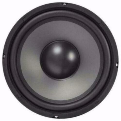 Bas Speaker 250 Watt 25 Cm 8 Ohm [214-T], Audio, Tv en Foto, Luidsprekerboxen, Nieuw, Overige typen, Ophalen of Verzenden
