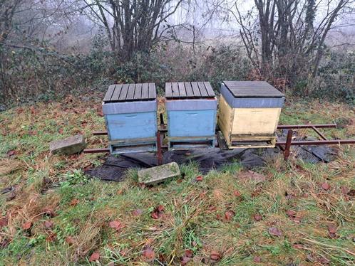 Apiculture, Animaux & Accessoires, Autres accessoires pour animaux, Utilisé, Enlèvement