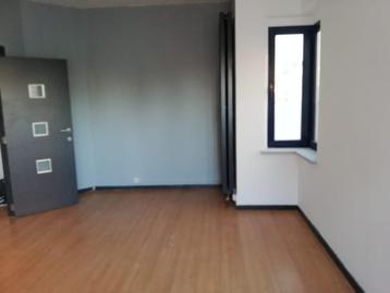 Appartement duplex à louer 100m²