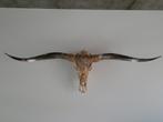 Longhorn skull, Ophalen, Zo goed als nieuw