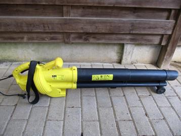 Bladblazer in Tielt- Winge 3390 beschikbaar voor biedingen