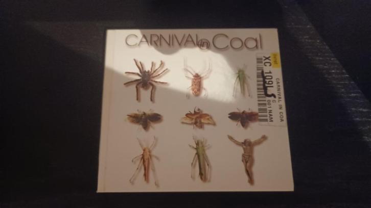 CD Carnival in Coal - Fear Not CinC + French Cancan, Cd's en Dvd's, Cd's | Hardrock en Metal, Gebruikt, Ophalen of Verzenden