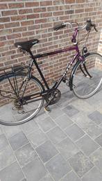 Herenfiets/stadsfiets, Ophalen, Gebruikt, Giant, Versnellingen