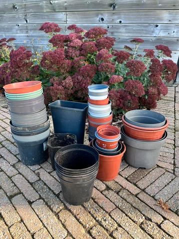 Plantpotjes plastic gratis beschikbaar voor biedingen