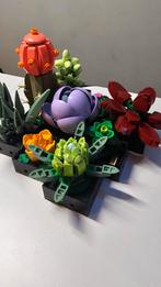 10309 LEGO Botanical Collection Succulents, Enlèvement ou Envoi