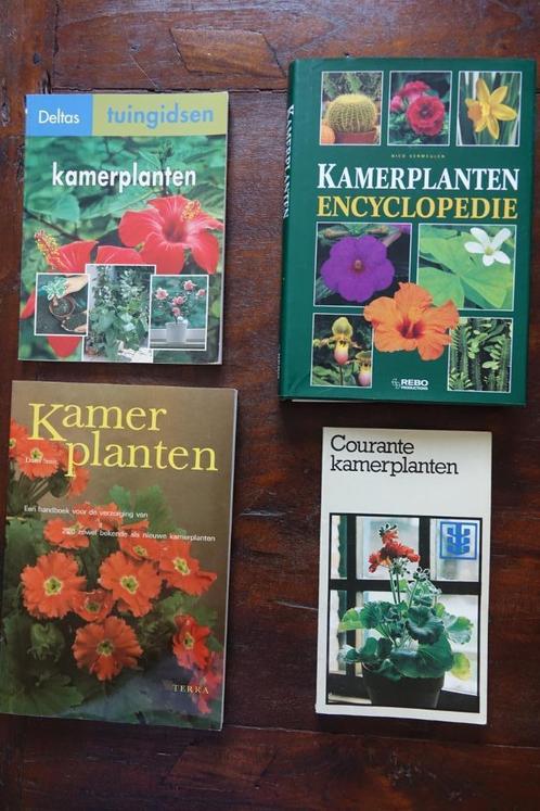 3 boeken over kamerplanten + 1 gratis, Huis en Inrichting, Kamerplanten, Overige soorten, Ophalen of Verzenden