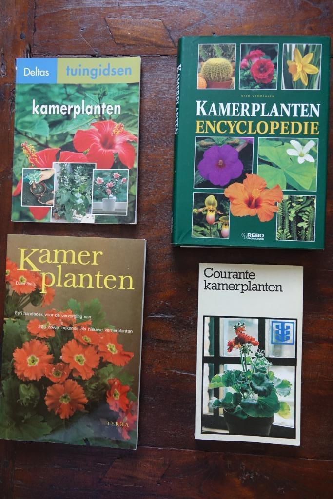 3 boeken over kamerplanten + 1 gratis, Huis en Inrichting, Kamerplanten, Overige soorten, Ophalen of Verzenden