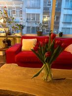 Leuke 3 zit met bijhorende voetenbank / poef, Scandinavisch design, 200 à 250 cm, Banc droit, Enlèvement