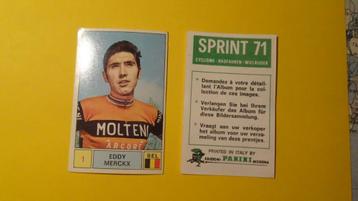 Afbeelding Panini Sprint 71 - Eddy Merckx No. 1