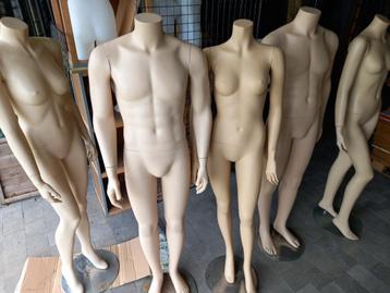 Mannequin - mannequins - Torse - mannequin disponible aux enchères