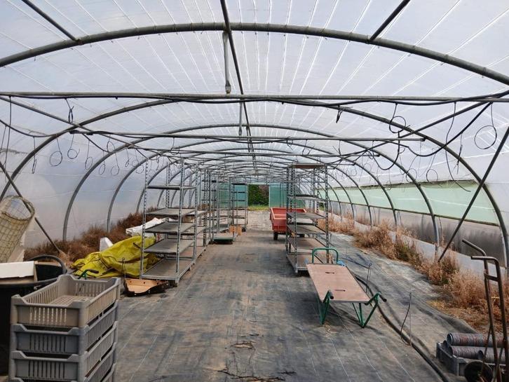 Serres met warmeluchtblazer op stookolie, Zakelijke goederen, Landbouw | Aardappelen, Groenten, Fruit en Vlees, Ophalen