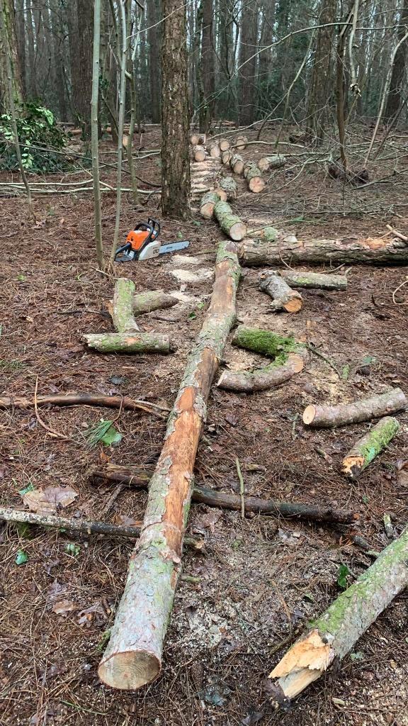 Verwijderen van bomen, Tuin en Terras, Planten | Bomen, Ophalen