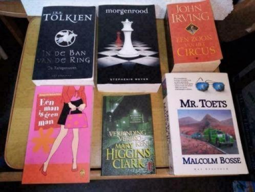 34 boeken volwassenen - thrillers, series, enz... 1-5€/boek, Boeken, Thrillers, Gelezen, Ophalen of Verzenden