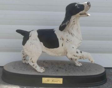chien beswick england beschikbaar voor biedingen